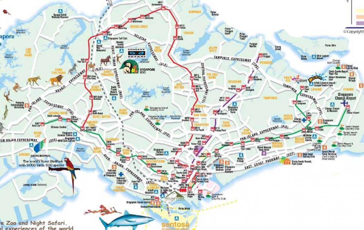 Дорожня карта Сінгапуру
