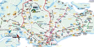 Дорожня карта Сінгапуру