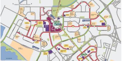 Карта Велоспорт Сінгапур